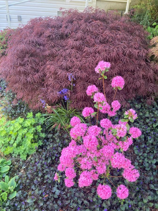 Kye Bay Bnb - A Place To Breathe Comox Exterior foto