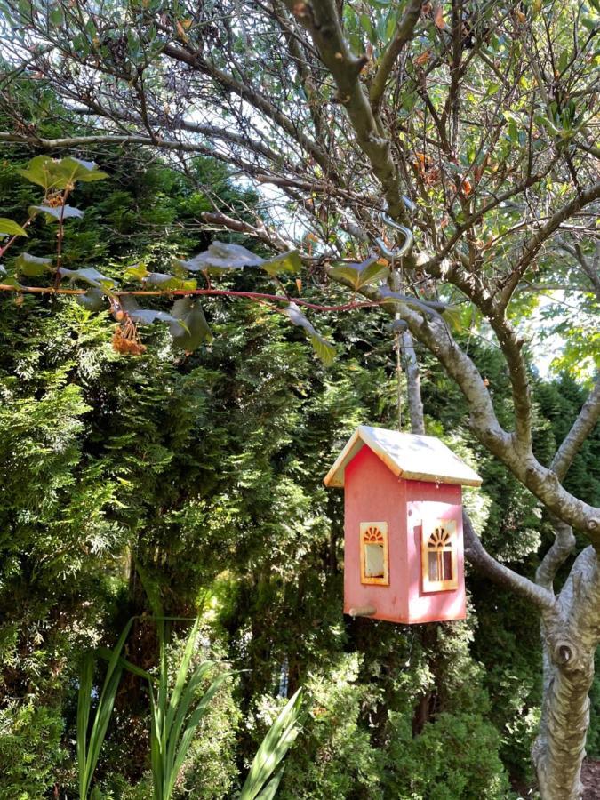 Kye Bay Bnb - A Place To Breathe Comox Exterior foto